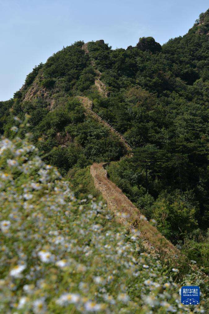 华人菠菜论坛